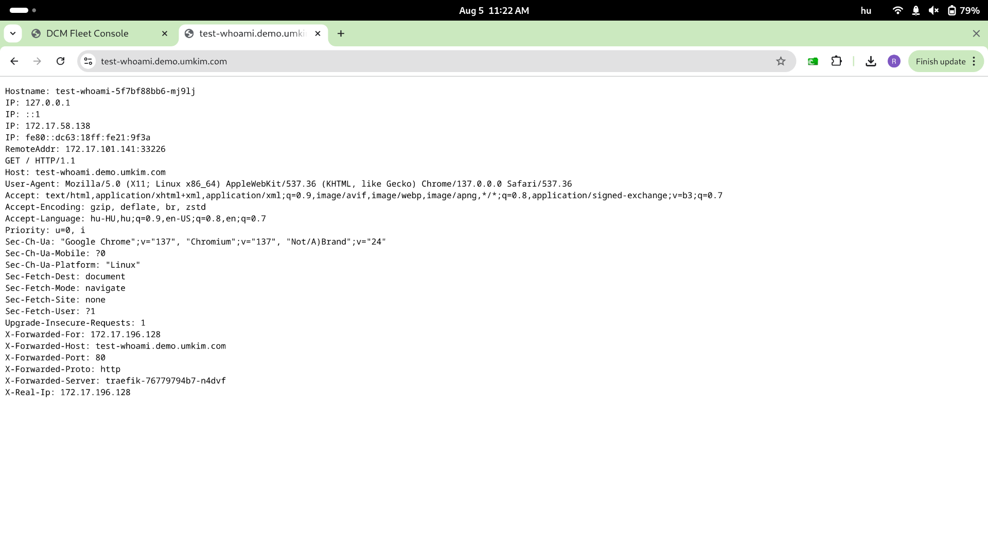 Test the catalog item