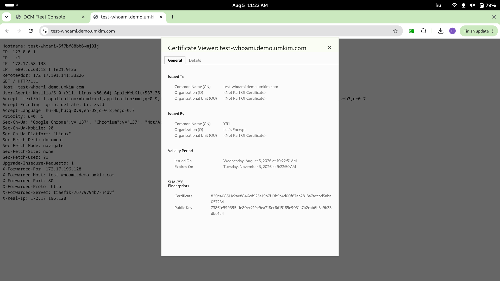 TLS certificate for the catalog item