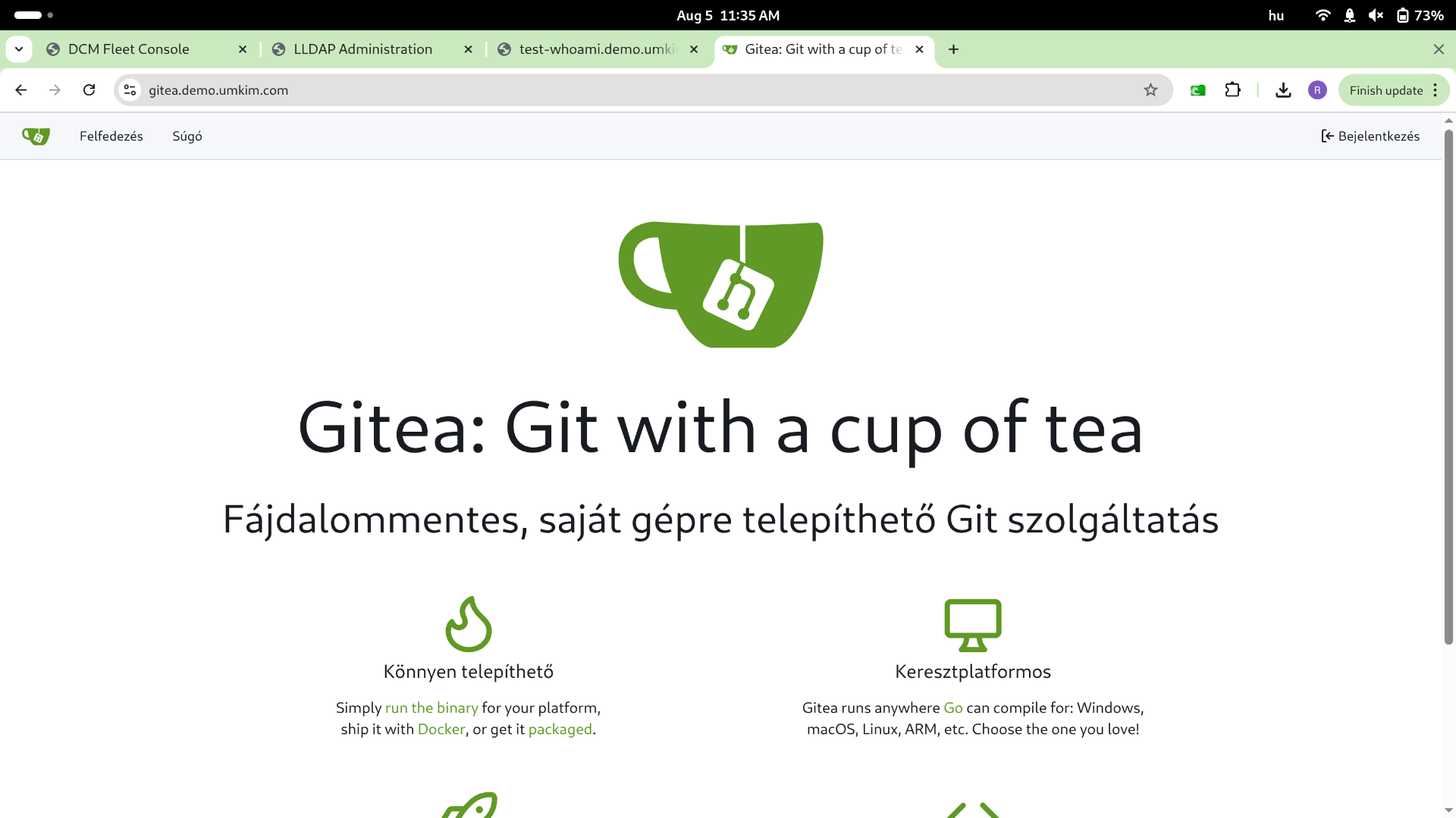 Gitea reachable after auth